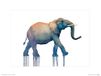The Art Group Oliver Flores (Elephant Walk) - Art Print 30 x 40cm