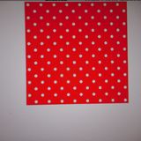 Paw Servetten Rood 33x33cm Set20