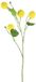 Countryfield Kunstbloem Viburnum L geel