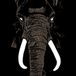 Outhere Palm Unit - Don't Buy Ivory Anymore - The Music Of Henri Texier (LP)
