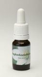 Star Remedies Dagkoekoeksbloem