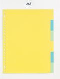 Class'ex tabbladen 6 tabs (zonder inlegvel) 23-gaatsperforatie karton geassorteerde kleuren