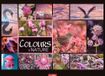 Colours Weingarten Colours of Nature Kalender 2027