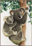 Vervaco - Borduurpakket - Koala met baby - 27 x 38 cm