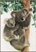 Vervaco - Borduurpakket - Koala met baby - 27 x 38 cm