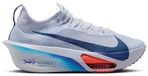 Nike Hardloopschoenen FD8311-001 voor Heren