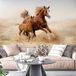 Papier peint panoramique Chevaux