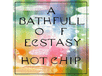 DOMINO Hot Chip - A Bath Full Of Ecstasy LP