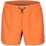 Arena Zwemshort Evo Solid