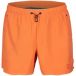 Arena Zwemshort Evo Solid