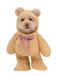 Rubie's Officieel lopende teddybeer huisdierkostuum, maat M