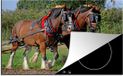 Merkloos KitchenYeah® Inductie beschermer 77x51 cm - Twee lopende Shire paarden met versierde manen - Inductiebeschermer