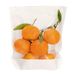 Garcia de Pou Turtle Pack tas met voet en raam 50 Gsm in doos, 20 x 24/21 x 3,5 cm, papier, wit, 20 x 24 x 3,5 cm