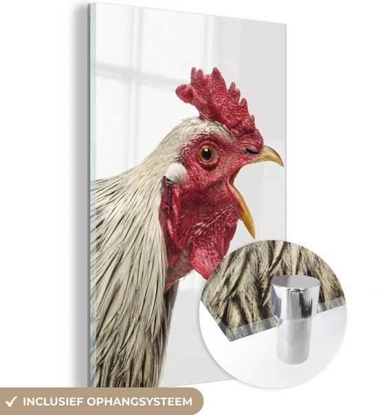 MuchoWow® Glass Painting 20x30 cm - Acrylic Glass Painting - Rooster - Animals - Farm Animals - Boys - Girls - Photo on Glass - Paintings