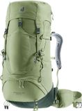 Deuter Aircontact Lite 35 + 10 SL Dames Trekkingrugzak 70 cm Grove-ivy