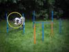 Agility Set pour Chien - Entraînement avec Haies et Anneau de Saut