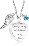 Hemelwinkel Luxe Ashanger - met Ketting - Voor As, Haren of Parfum - Assieraad - As Ketting - Gedenksieraad - Urn - Incl. As vuller en Opbergzakje - Forever in my Mind