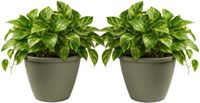 Mega Collections Plantenpot Essence Lima - 2x - kunststof - olijfgroen - binnen/buiten - D40 x H32 cm