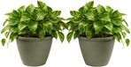 Mega Collections Plantenpot Essence Lima - 2x - kunststof - olijfgroen - binnen/buiten - D40 x H32 cm