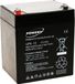 Powery Batterie au plomb-gel 12V 6Ah pour APC Back-UPS ES 350