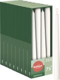Bolsius - Gladde Dinerkaarsen - 24,5 cm - 32 stuks - Wit