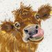 Bothy Threads Borduurpakket Moo