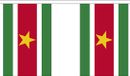 Merkloos / Sans marque Shoppartners Bv Luxe Suriname vlaggenlijn - 9 meter - 30 vlaggetjes - polyester