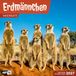 Erdmännchen Ackermann Kunstverlag Erdmännchen Kalender 2027 - 30x30 - Art12