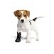 Grande Finale Beschermende en herstelsokken, ademend, voor honden, katten, 100% softshell, chirurgische bescherming tegen letsel, likken (6(XXL)-12 cm H - 28 cm, zwart)