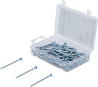 BGS Nagel-assortiment - 250 g - 2,8 x 60 mm - 1 stuk