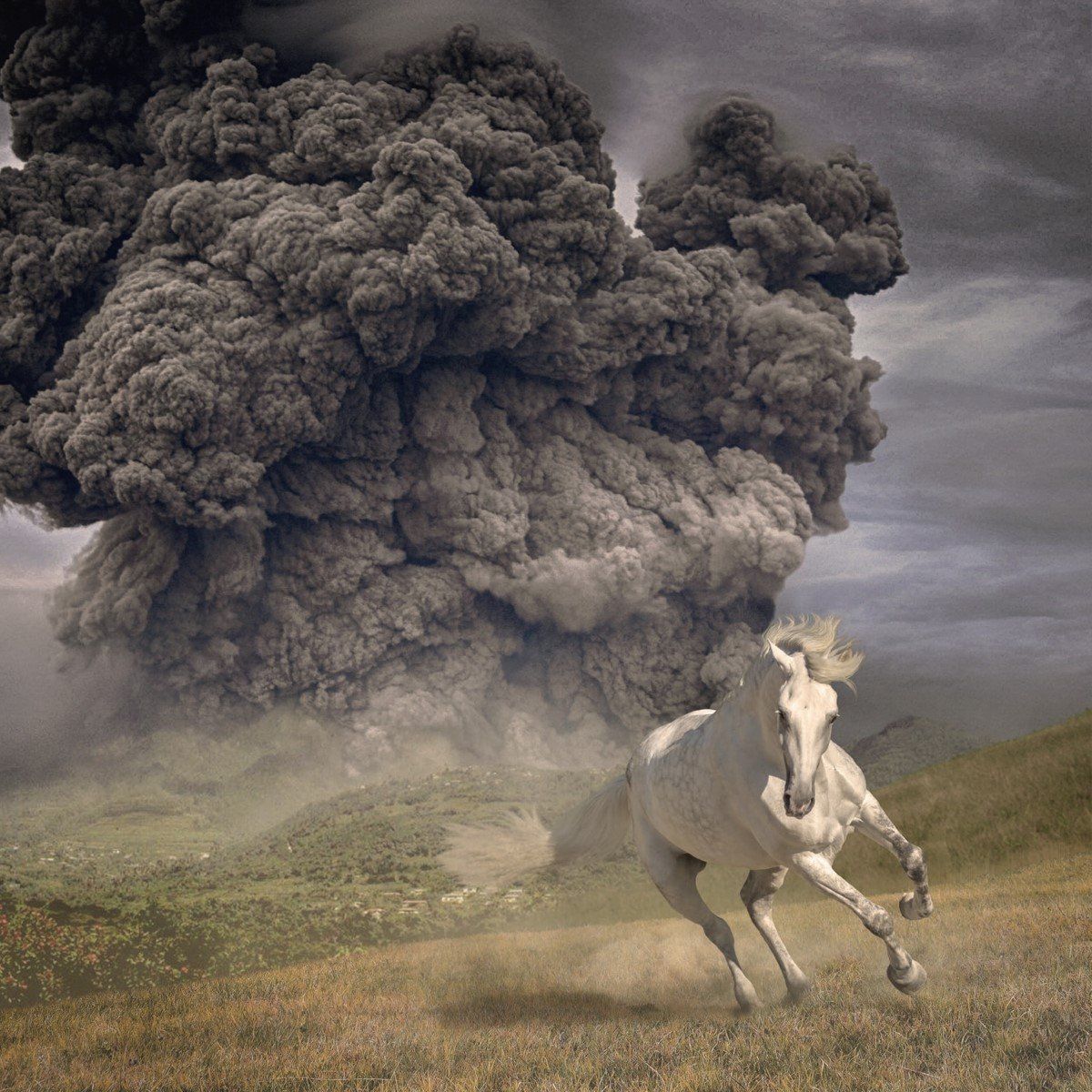 Universal Music Nederland The White Buffalo - Year Of The Dark Horse (LP) (Coloured Vinyl) (Limited Edition)