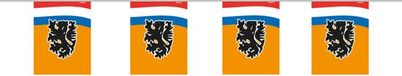 Folat Minislinger Oranje Leeuw 4 meter
