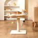 Arbre à chat - Poteau griffoir - 51 cm de haut - Sisal - Beige