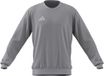 adidas heren Entrada26 Sweat Top Sweatshirt, team light grey/white, M