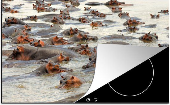 KitchenYeah® Inductie beschermer 77x51 cm - Nijlpaard - Inductiebeschermer voor Inductie kookplaat - Multicolor