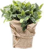 Bellatio Flowers & Plants Kunstplant - Munt Kruiden - Groen - In Jute Pot - 19 cm