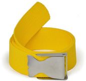 Best Divers Whale Riem Geel