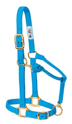 Weaver Leather Original Adjustable Nylon Horse Halter, Large Horse, Hurricane Blue