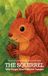 The Pomme Bilingual The Squirrel Who Forgot Where He Hid Tuesday Paperback