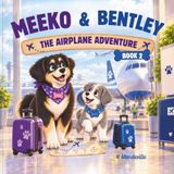 Meeko & Bentley The Airplane Adventure: The Airplane Adventure