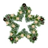Black box Kaprun Wreath Star Green Frosted Copper Warm White 15L 120 Tips B/O H5XD60 cm Kunstkerstboom Black Box