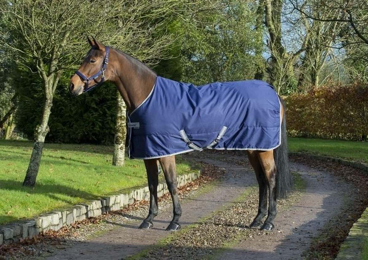 Bucas Freedom Stable 150 168 Navy navy