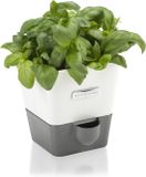 Cole & Mason Burwell Zelfwaterende Kruidenpot - Wit/Grijs