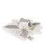 Doudou & compagnie collector 25 ans Ours Pluche Knuffel