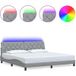 Maison Exclusive - Sommier avec éclairage LED, sans matelas, gris clair, 200 x 200 cm, tissu
