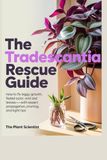 The Tradescantia The Tradescantia Rescue Guide: How to Fix Leggy Growth, Faded Color, and Sad Leaves—With Expert Propagation, Pruning, and Light Tips