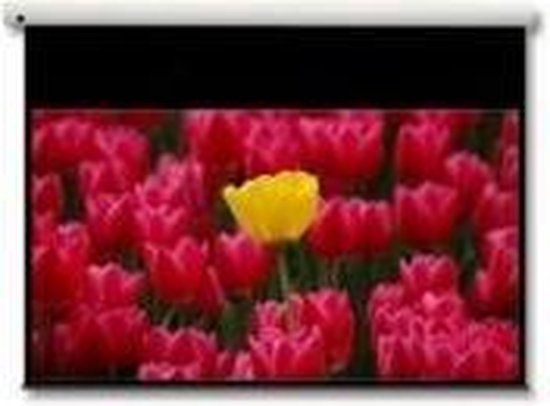 Optoma Panoview 16:9 106" Projectiescherm