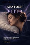 The Laine Educational Media LLC The Anatomy of Sleep Paperback