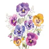 Ambiente Lunch Servetten - Pansies