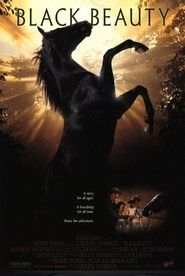 Black Beauty - DVD